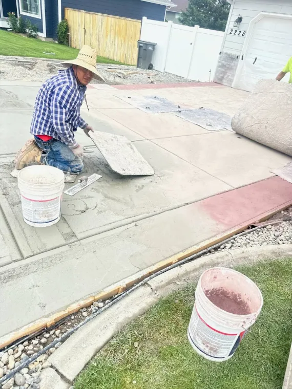 Expert Landscape Services Expert Landscape Services