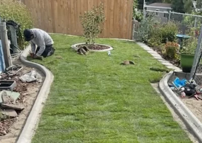 Lawn Care
