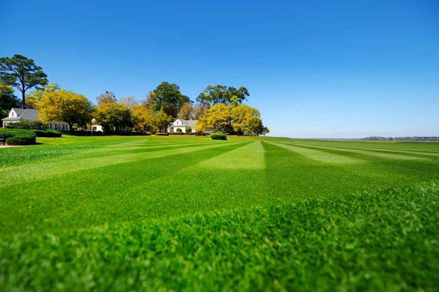 How To Fix Common Lawn Problems Quickly in Wenatchee, WA How To Fix Common Lawn Problems Quickly in Wenatchee, WA
