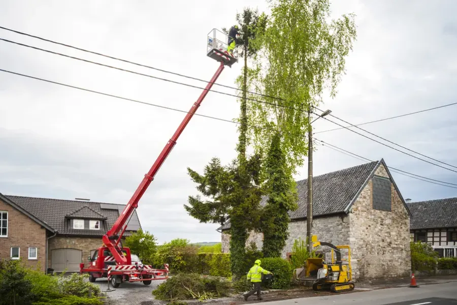 How Tree Trimming Service Protects Surrounding Structures in Wenatchee, WA How Tree Trimming Service Protects Surrounding Structures in Wenatchee, WA