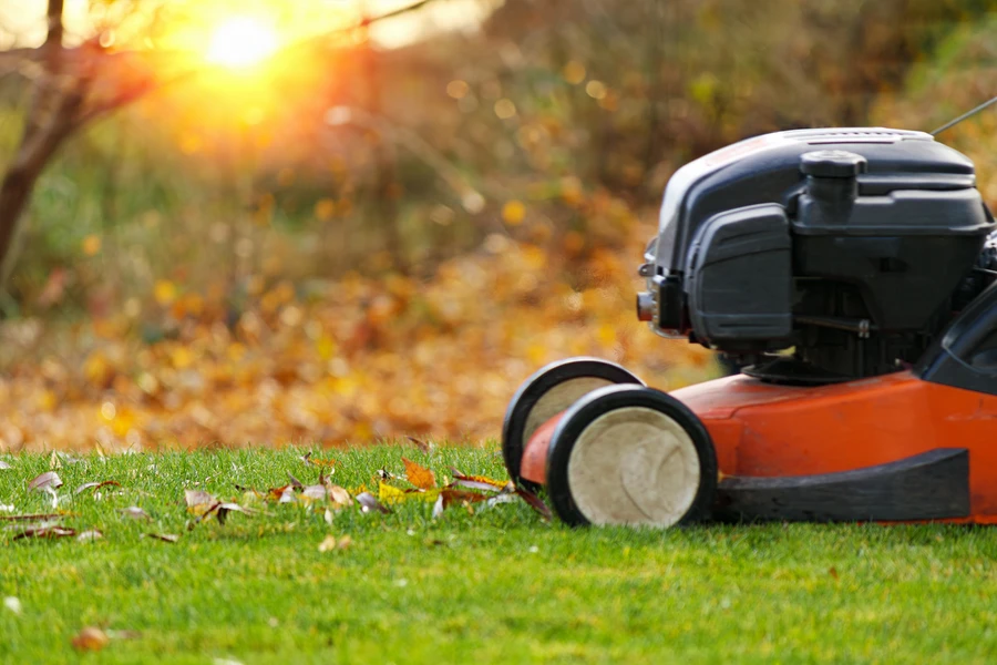 Lawn Care Mistakes To Avoid For A Healthier Lawn in Wenatchee, WA Lawn Care Mistakes To Avoid For A Healthier Lawn in Wenatchee, WA