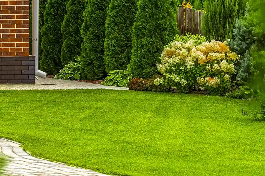 Local Lawn Care Wenatchee, WA Local Lawn Care Wenatchee, WA